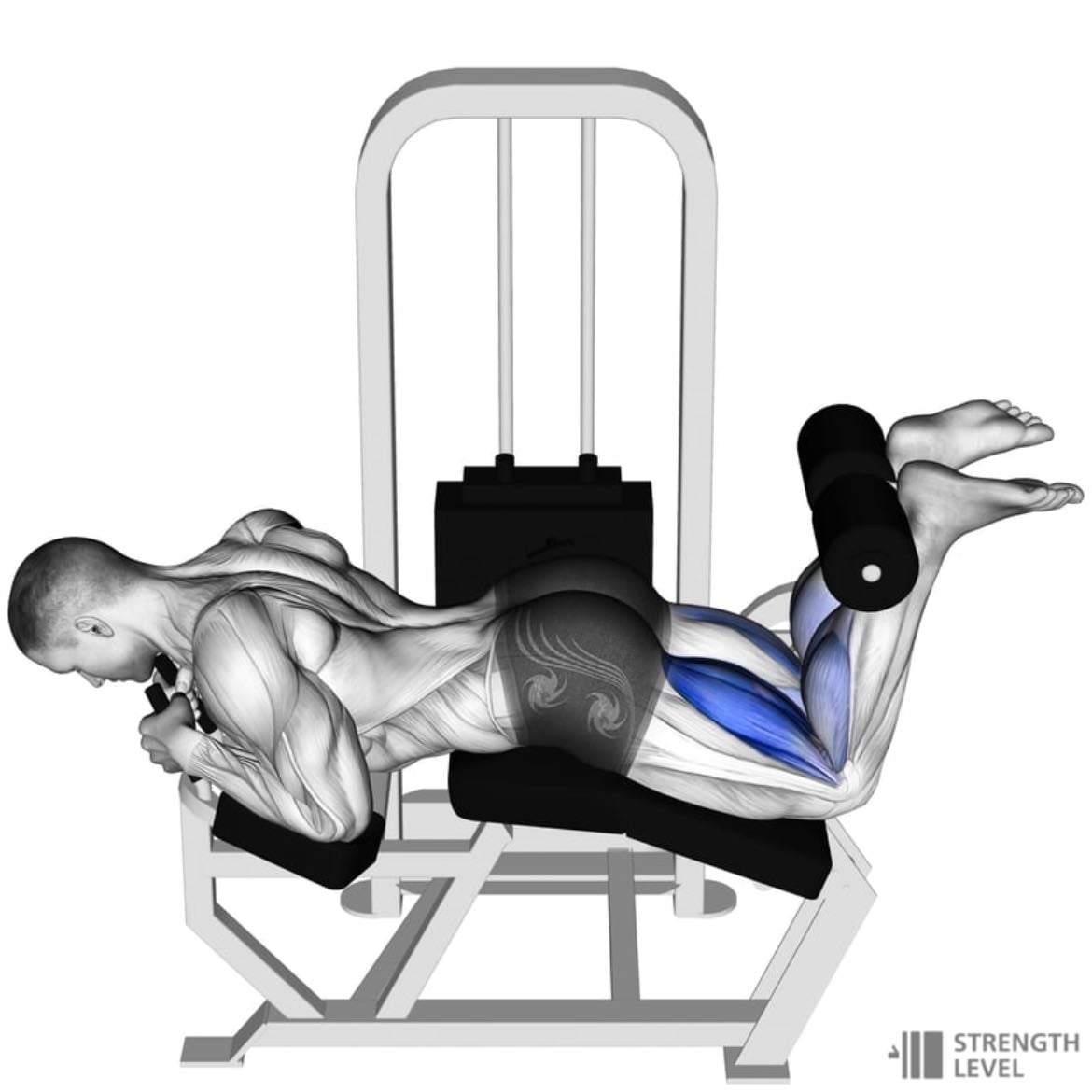 curl femoral