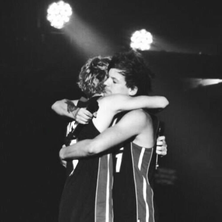 NOUISSS - I love Niall and Louis so much, I would actually love to hear just them singing in a song together