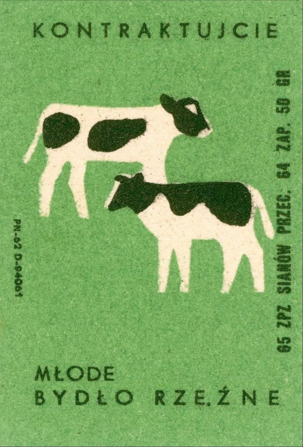 cows