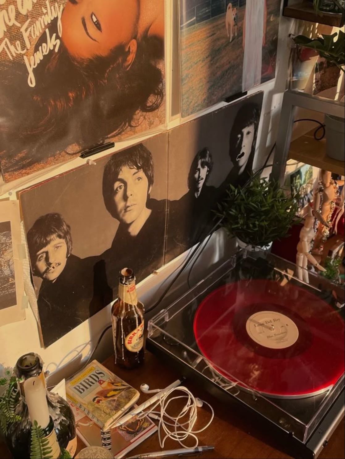 vinyls/cds