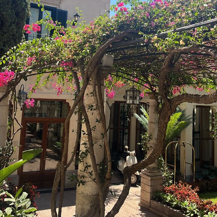 Jardín