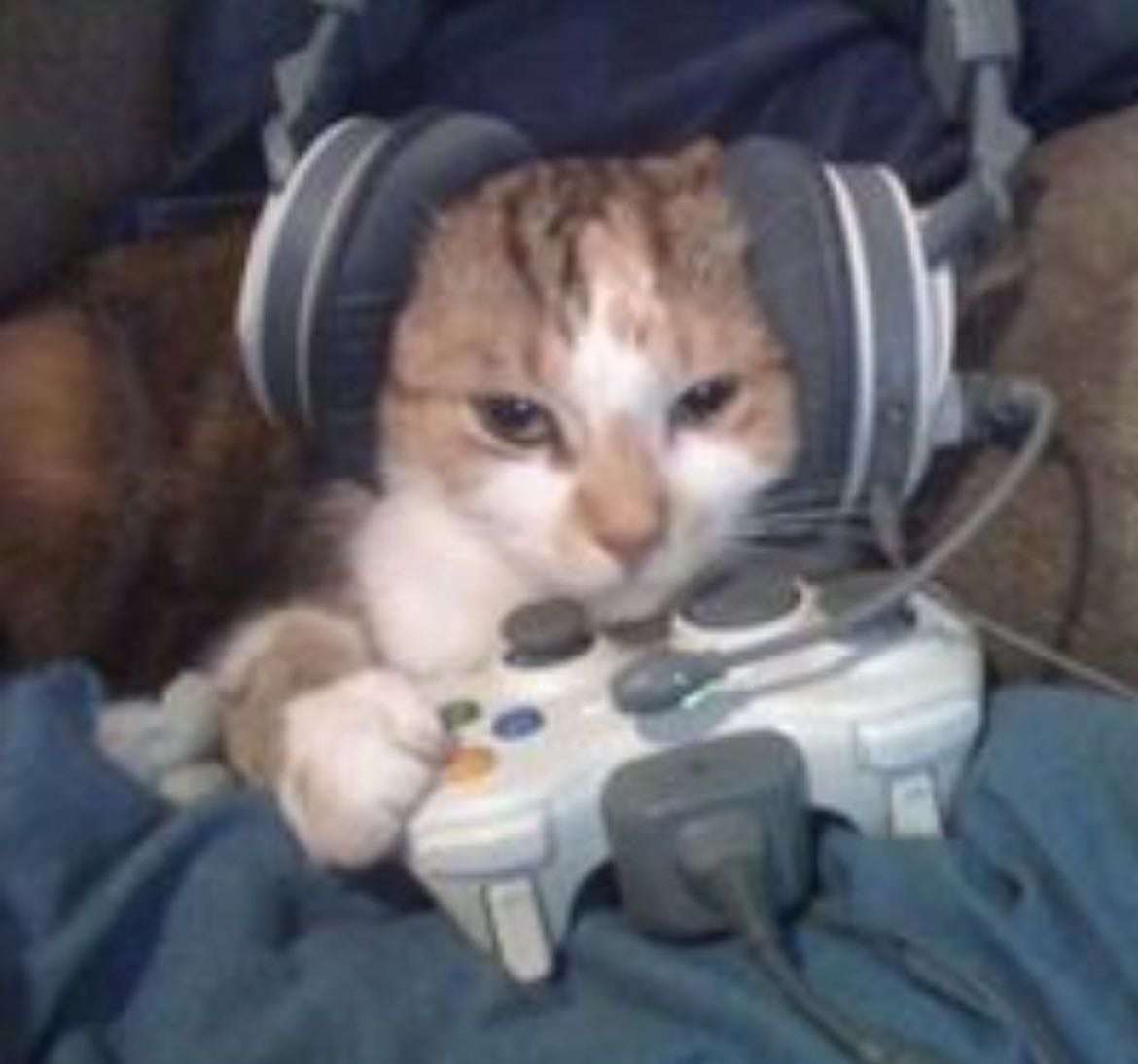 Videogames wishlist