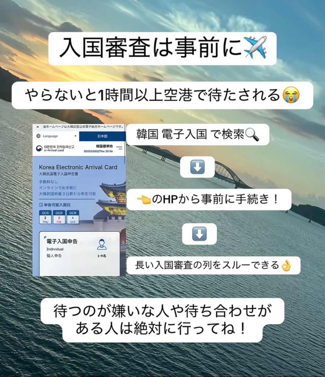 入国
