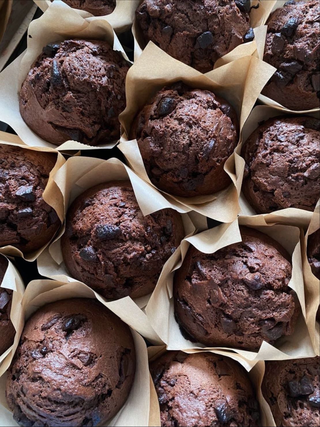 Chocolate muffins