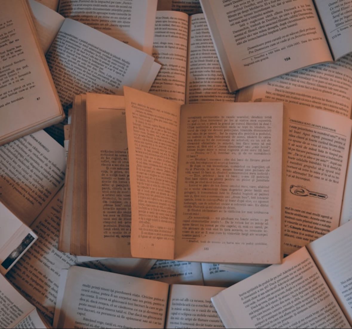 Books to read in the holidays🪼🎀