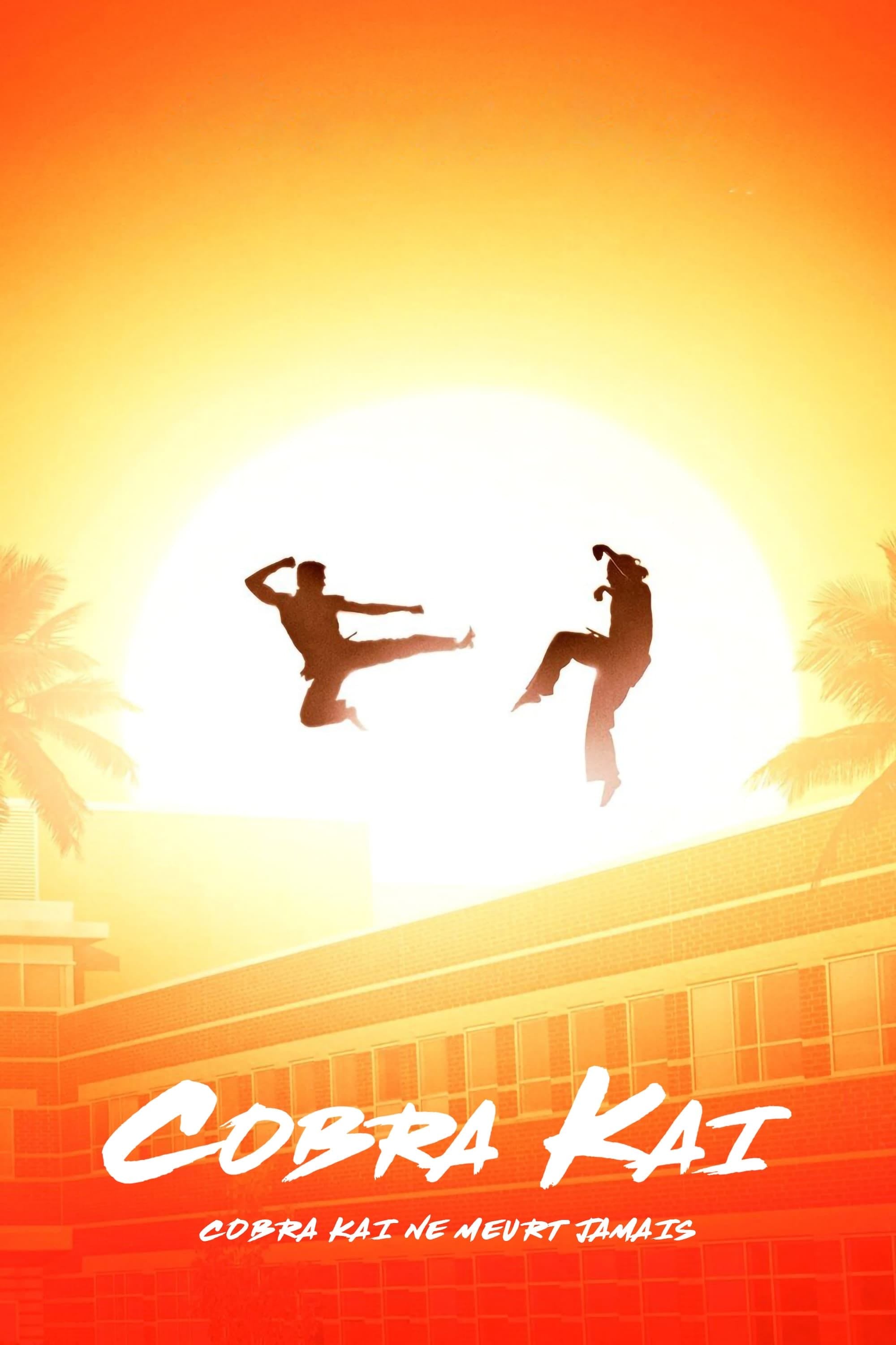 Cobra Kai - Hayden Schlossberg, Josh Heald, Jon Hurwitz · 2018