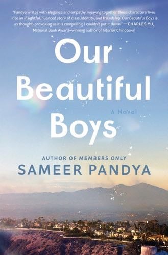 Our Beautiful Boys - Sameer Pandya · 2025