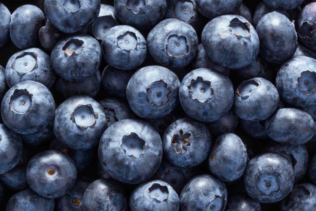 blueberries