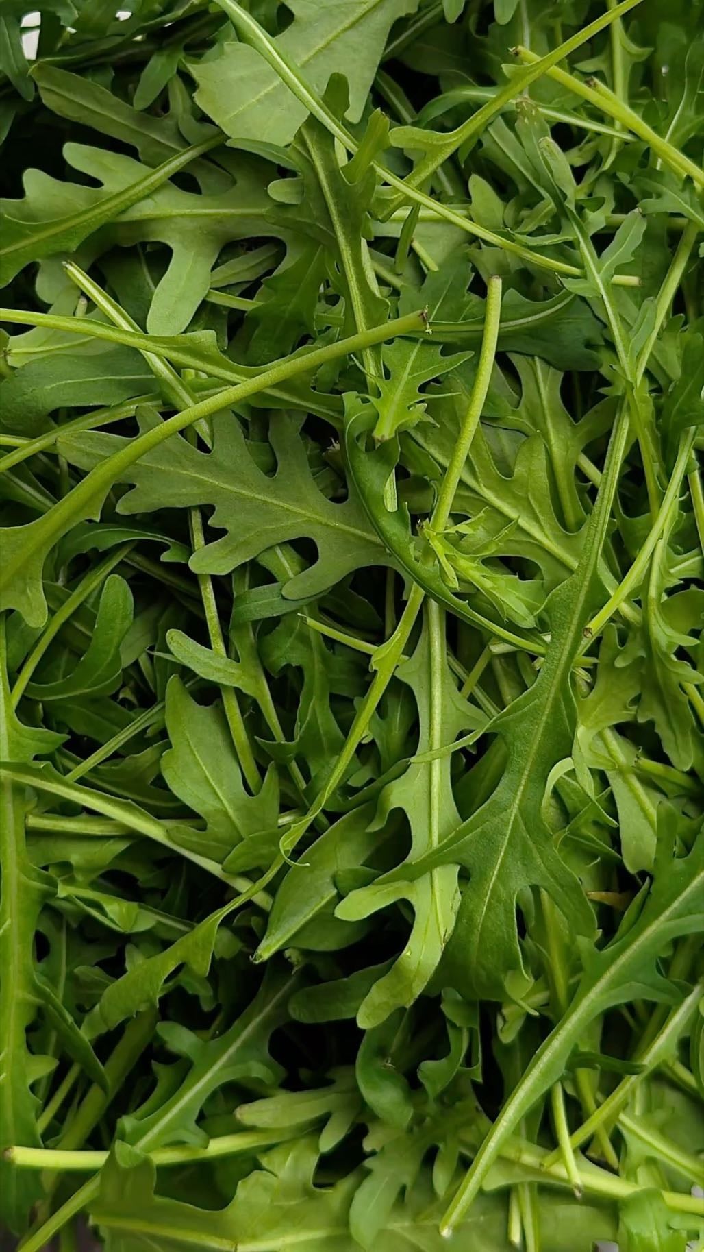arugula