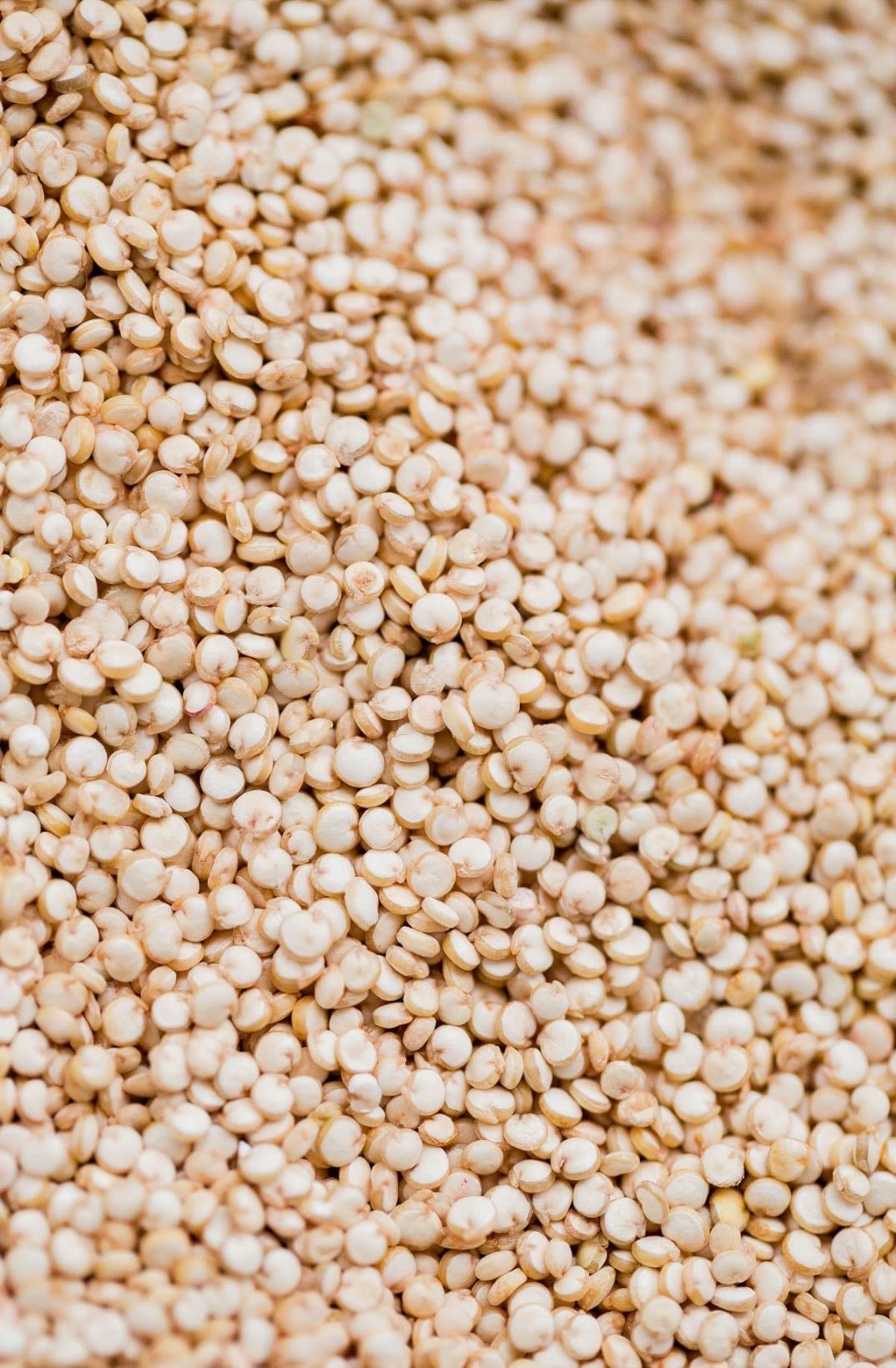 quinoa