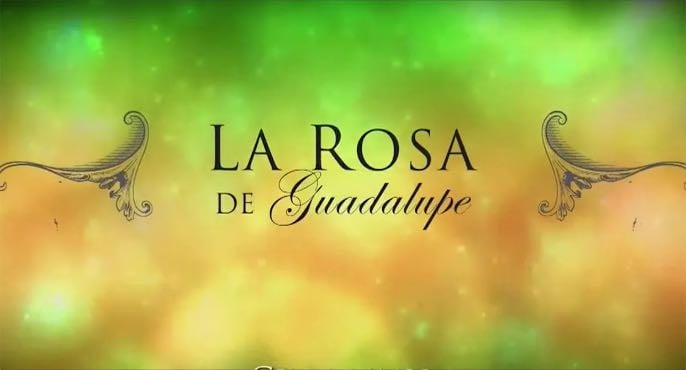La rosa de Guadalupe - Carlos Mercado Orduña · 2008