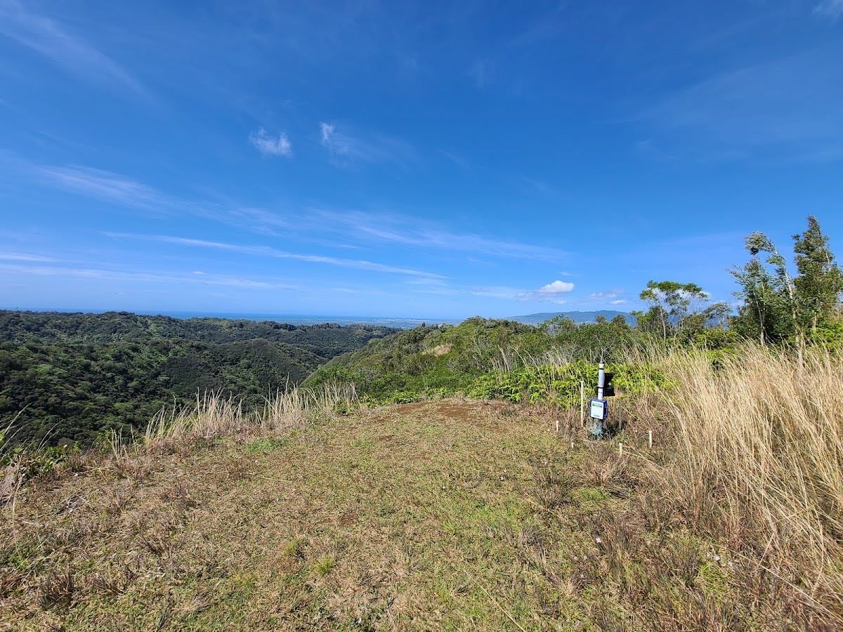 Mānana Ridge Trail - Jungle ponds and cats!
