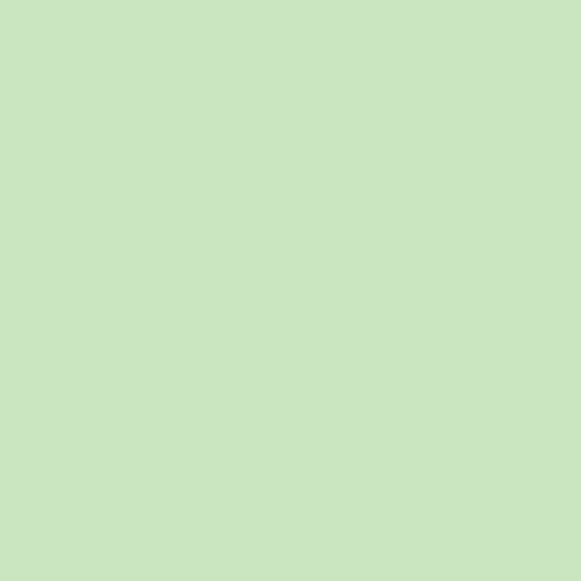 White chocolate matcha