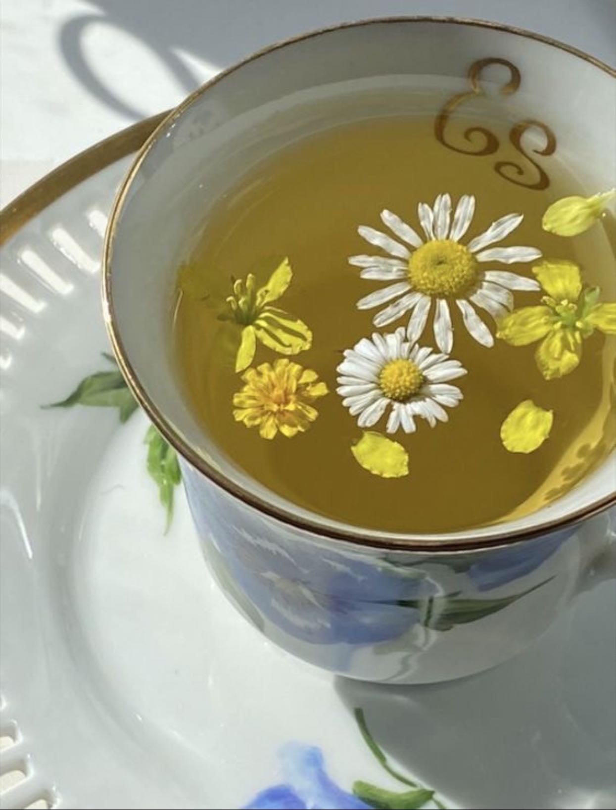 Chamomile Tea - rich in antioxidants, helps to protect you from free radicals that cause cell damage.