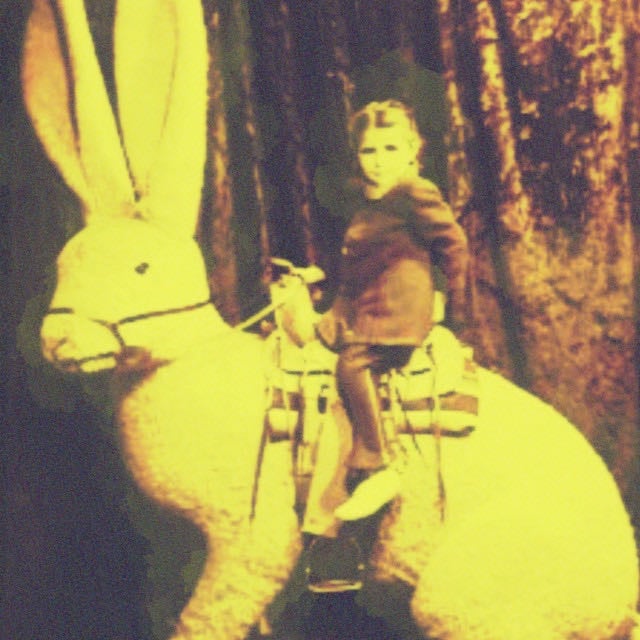 Rabbitology - Artist