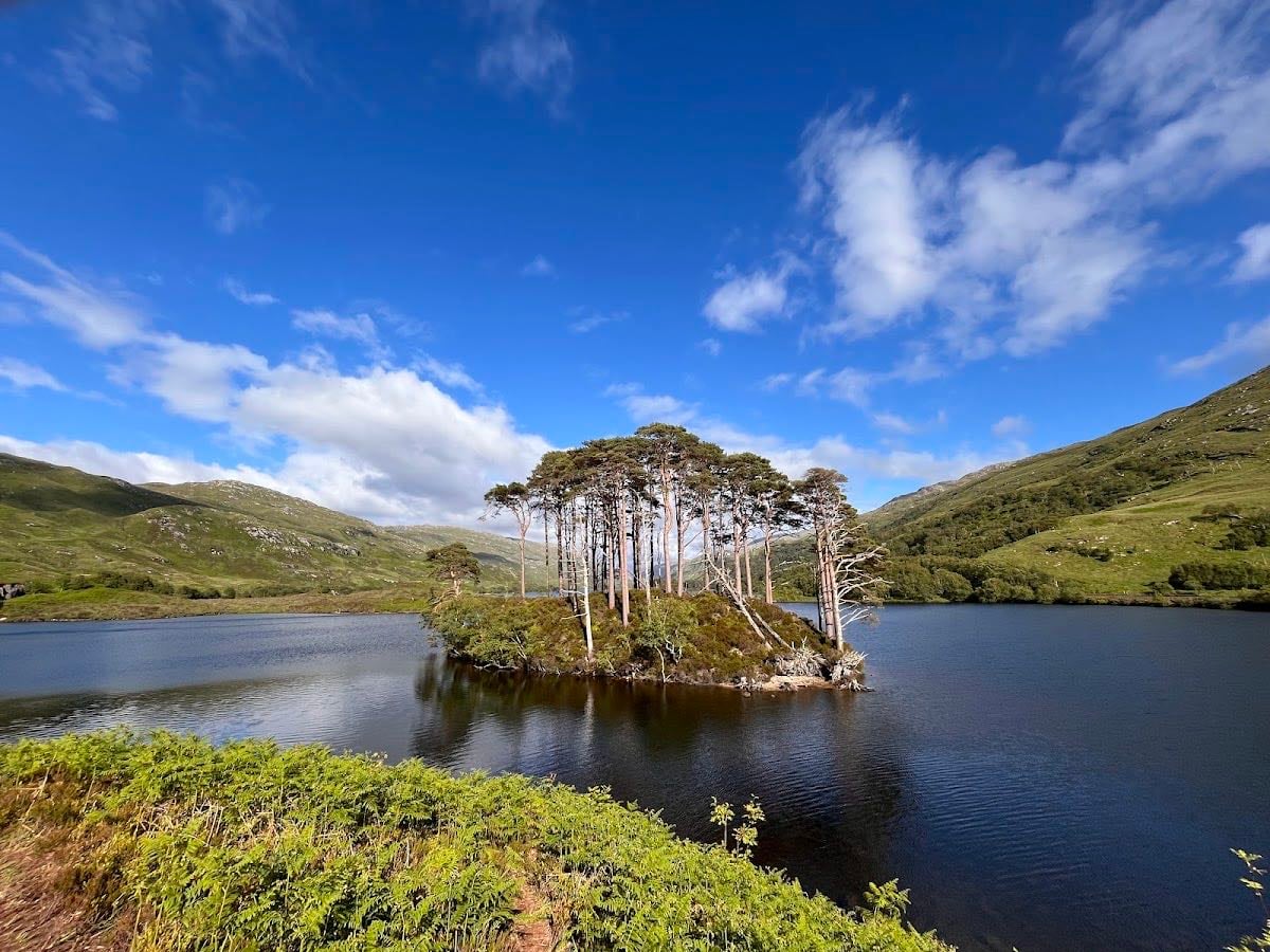 Eilean na Moine - Eilean na Moine, an island on Loch Eilt, was used as the location of Dumbledore’s grave in The Half-Blood Prince.