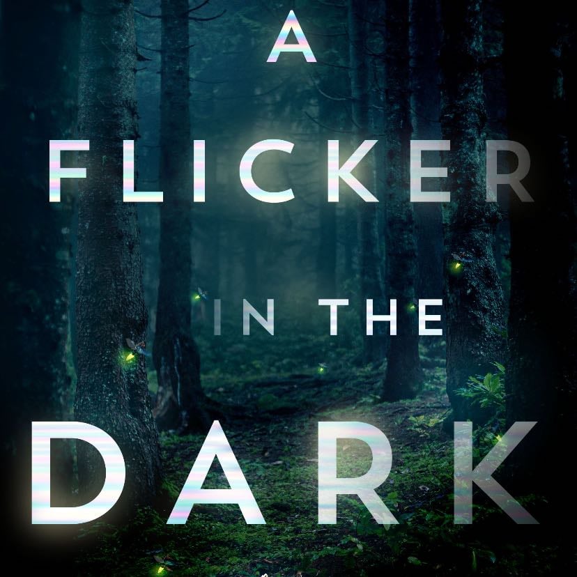 A Flicker in the Dark - Stacy Willingham · 2022