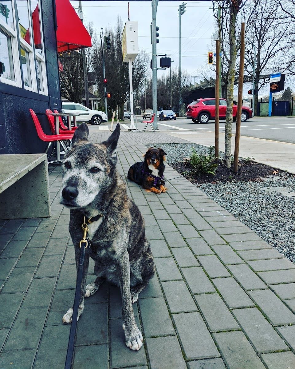Fernwood Coffee Company/Parsonage Cafe