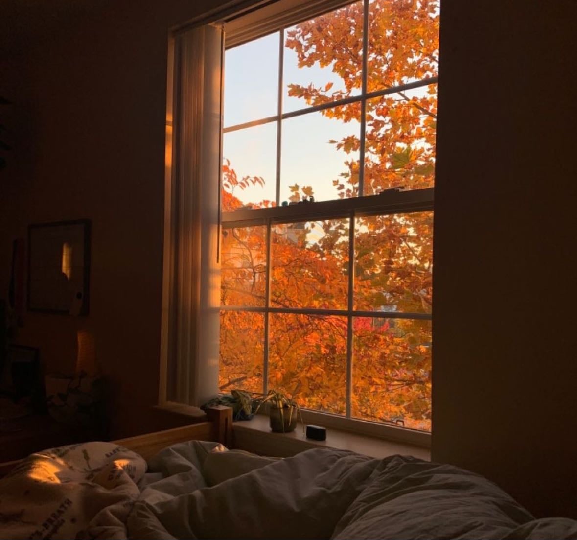 Cozy Autumn Tv & Movies