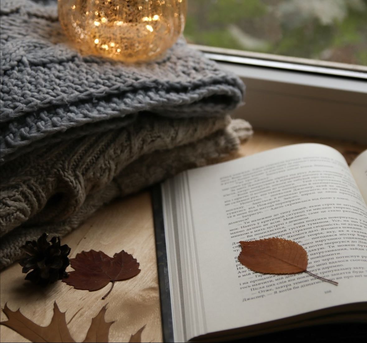 Cozy autumn reads