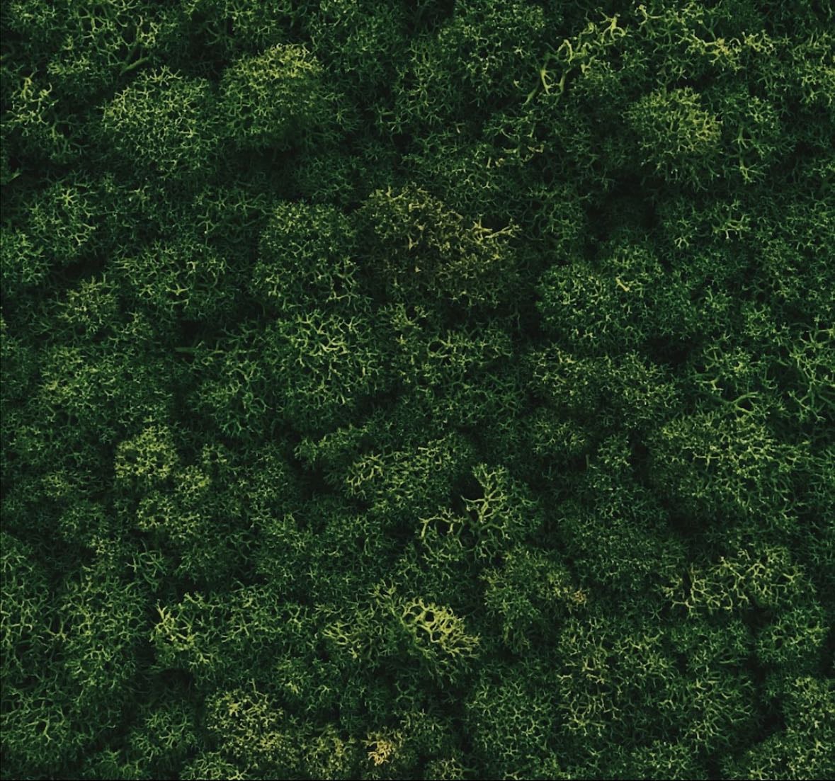 Sustainable clothing brands - Links hypelist by Madison M