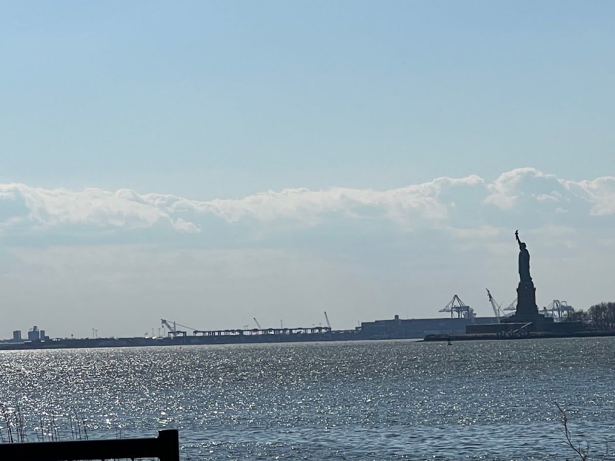 Statue of Liberty View Point