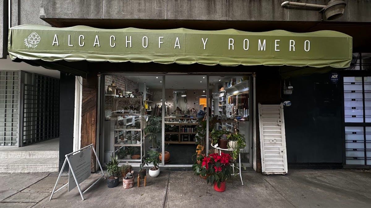 Alcachofa y Romero
