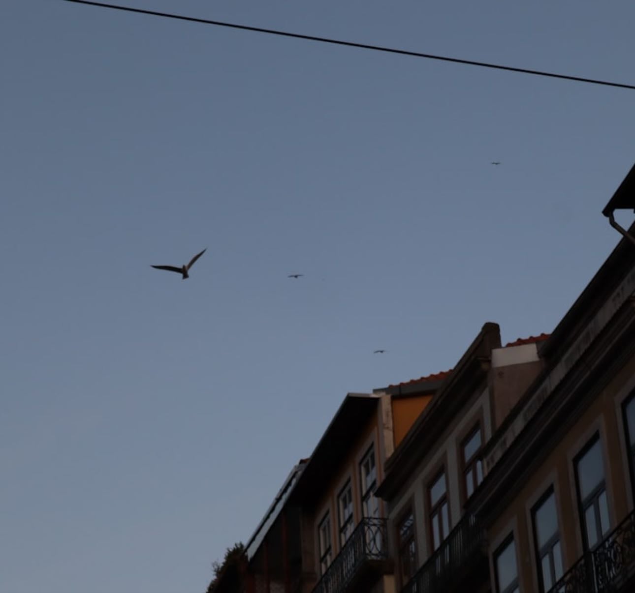 If i could fly - Places hypelist by Leah