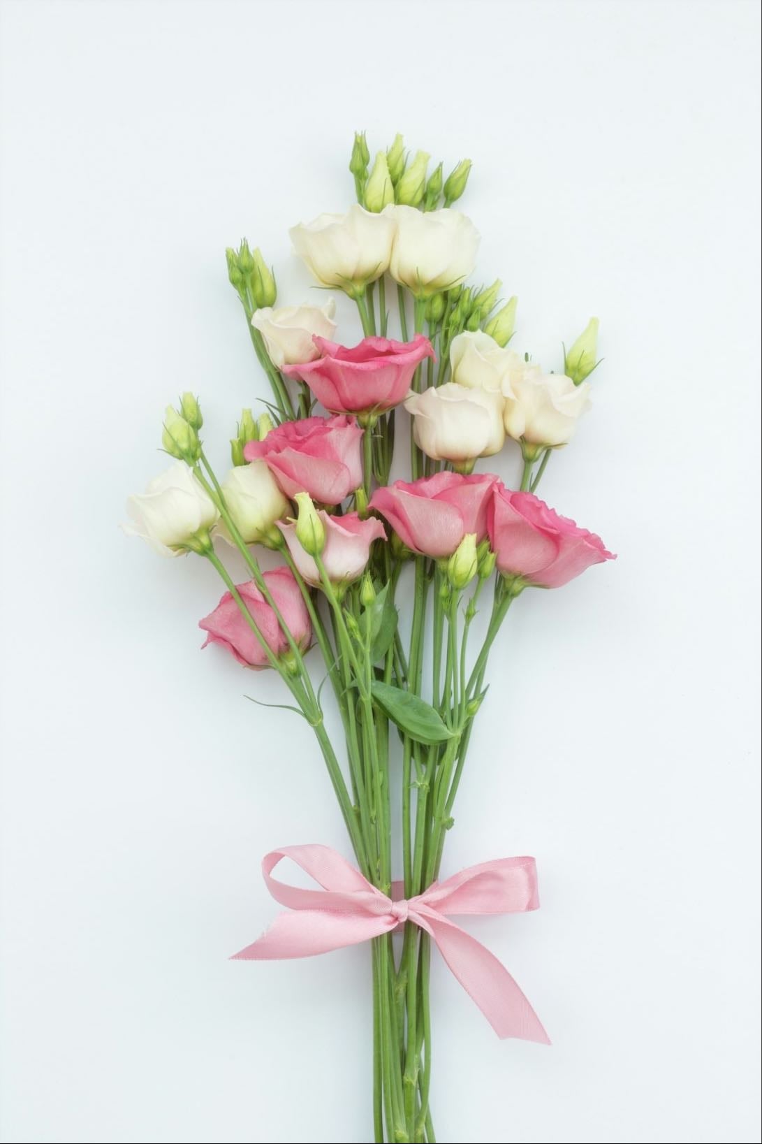 Lisianthus