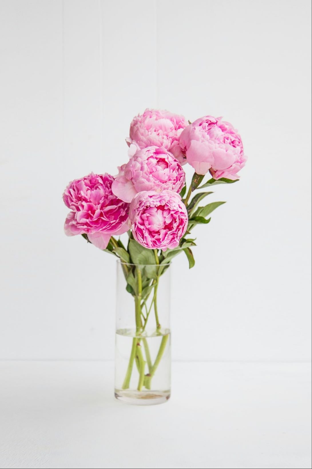 Peony