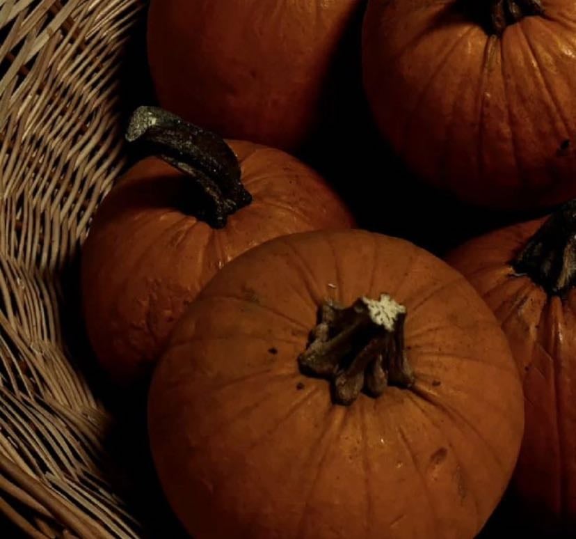 halloween movies - Movies hypelist by bren