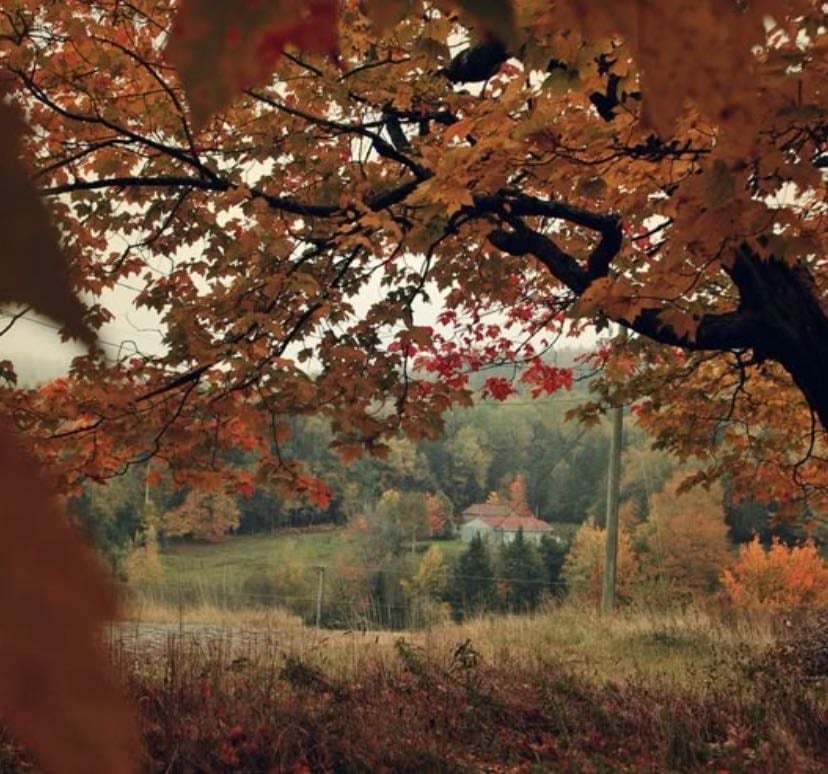 fall movies/series - Movies hypelist by bren