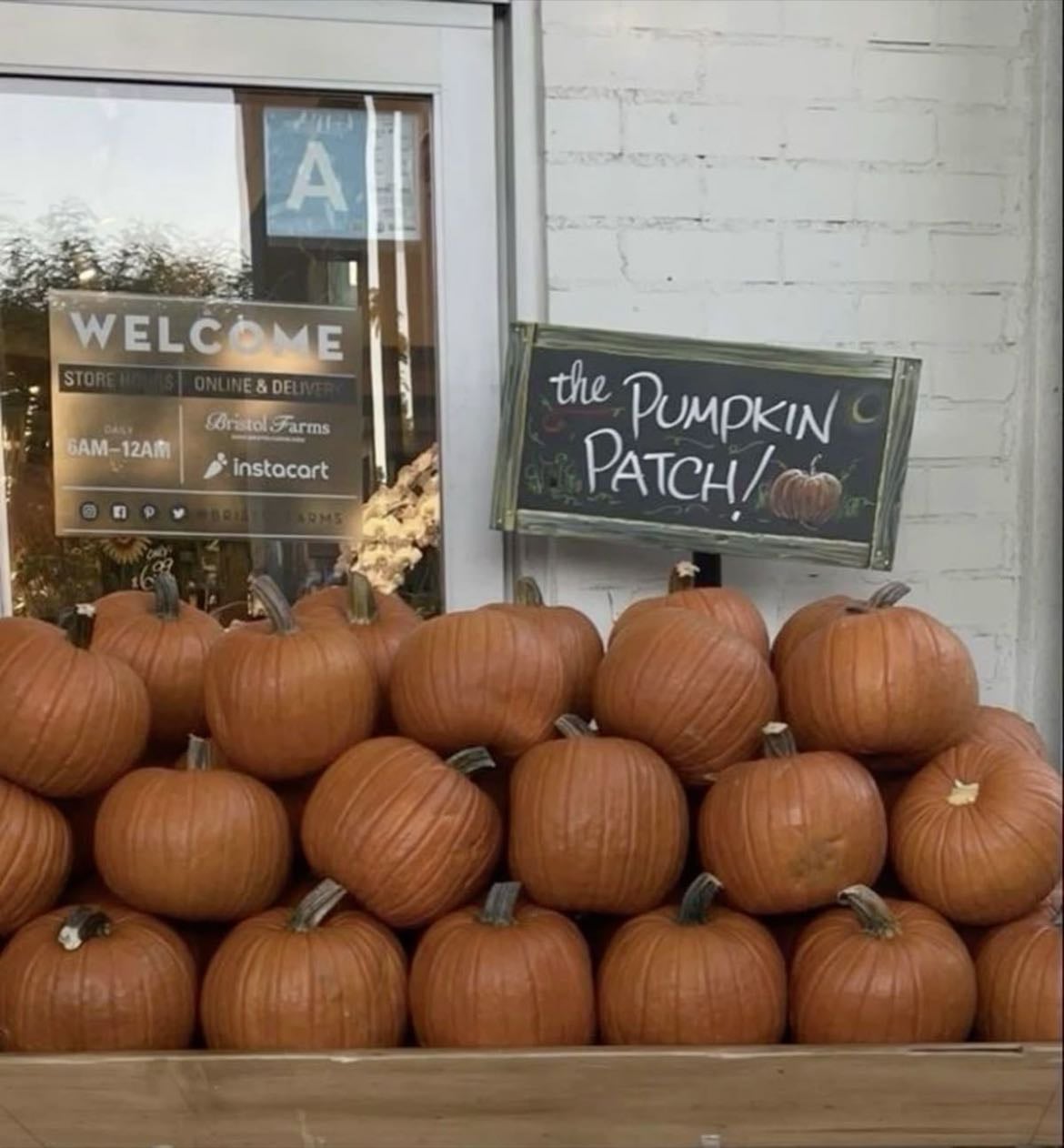 ♡ - visiting a pumpkin patch