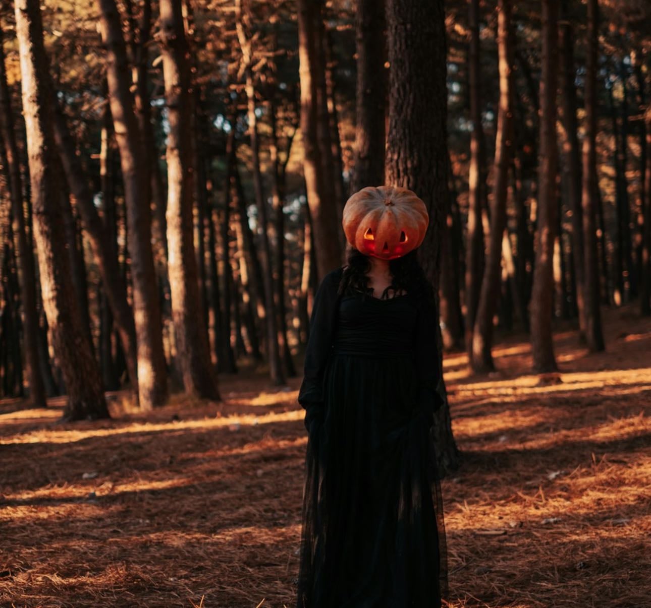 Witch-y films for autumn ‘25