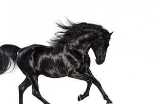 Old Town Road - Playlist