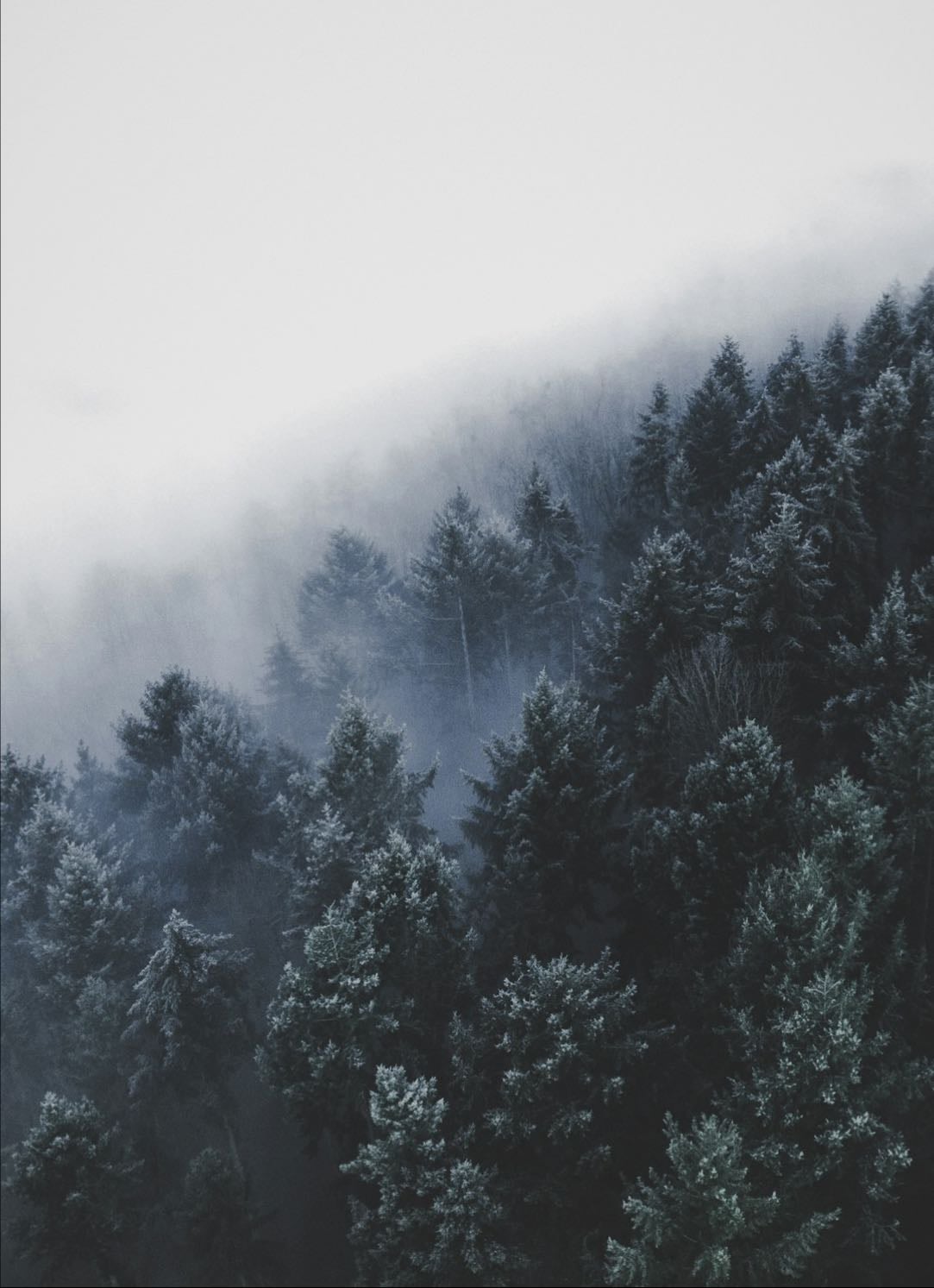 winter