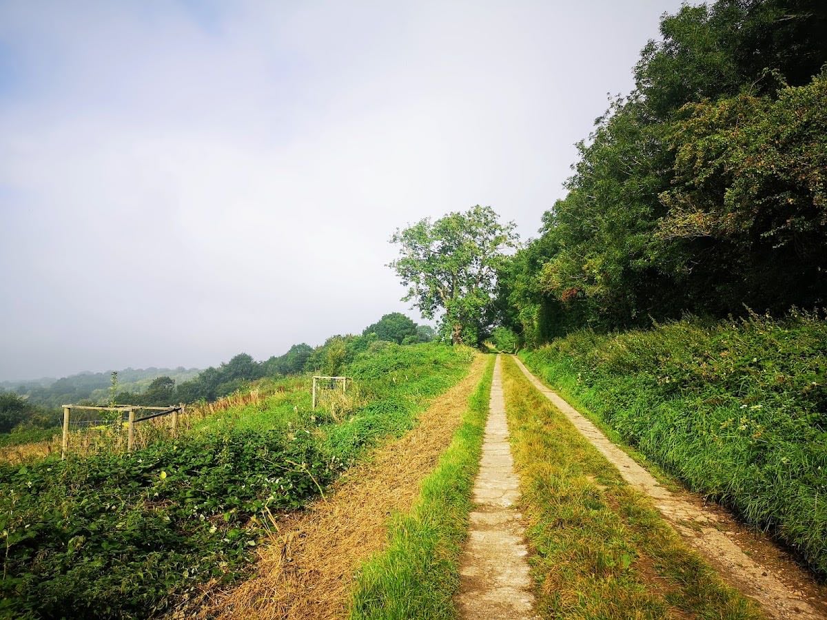South Stoke