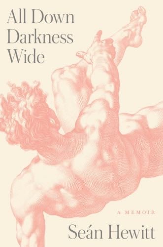 All Down Darkness Wide: A Memoir - Seán Hewitt · 2022