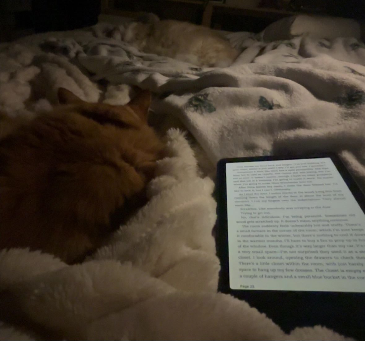 books id die for