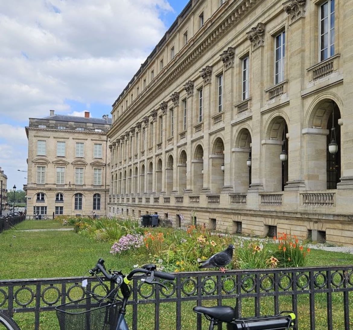 Bordeaux Favorites🍷