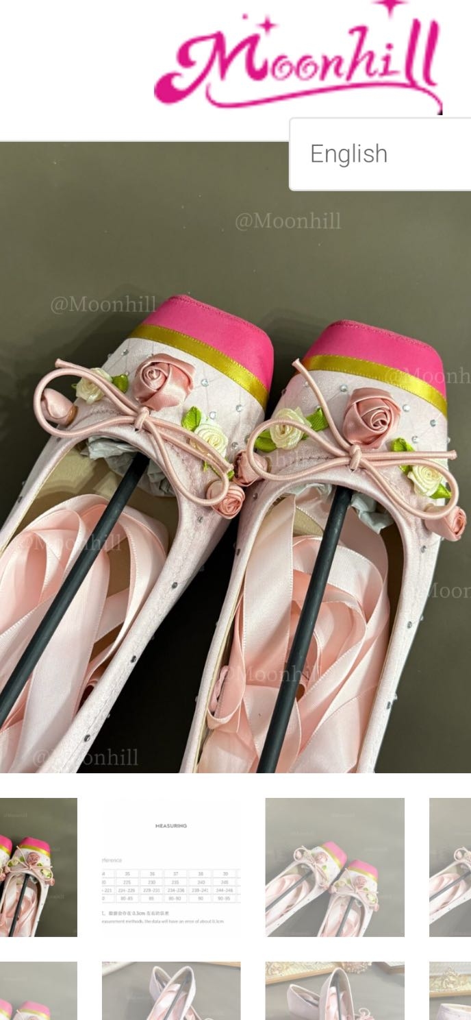 Barbie Ballet Shoes