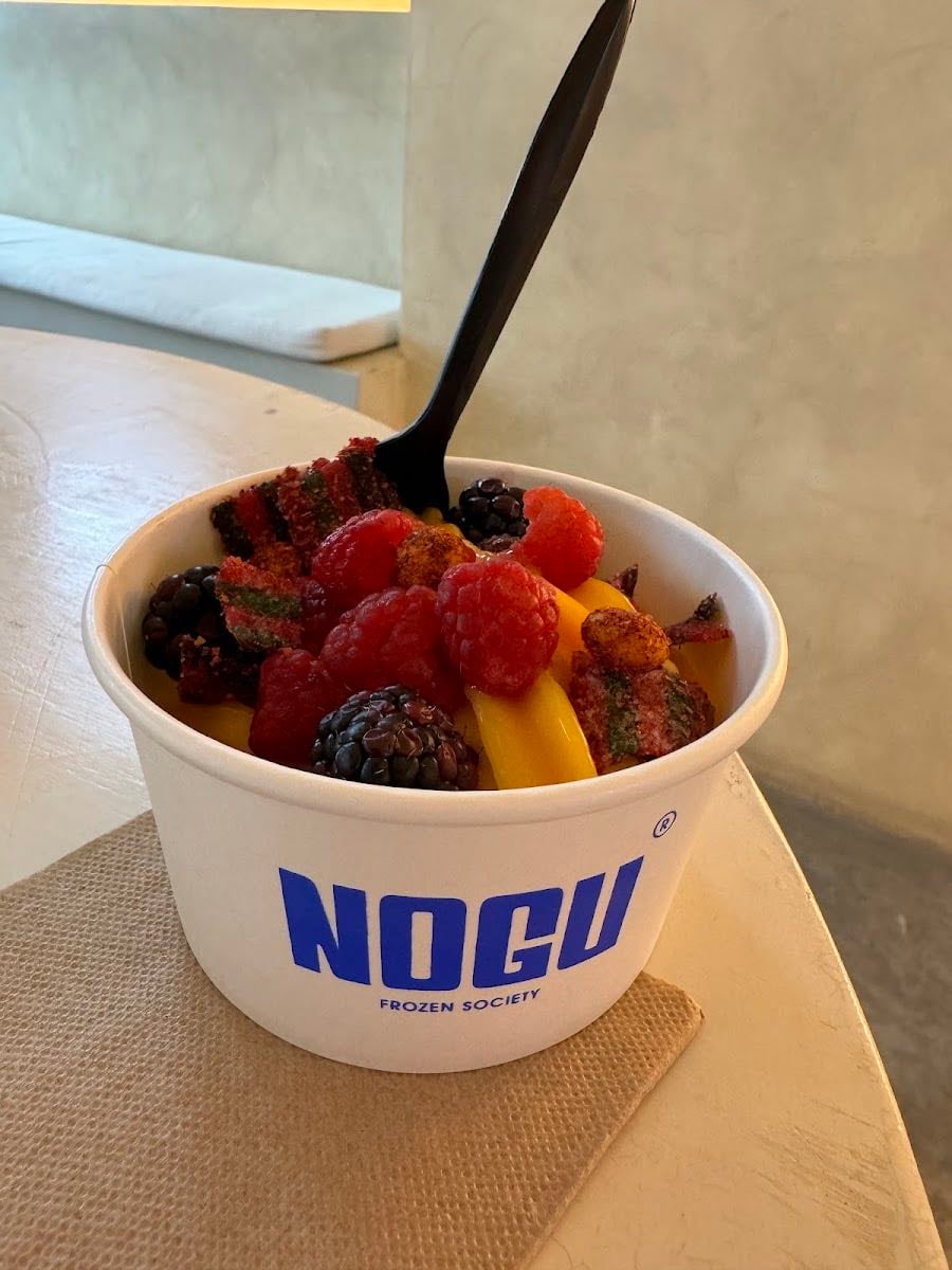 Nogu Frozen Society