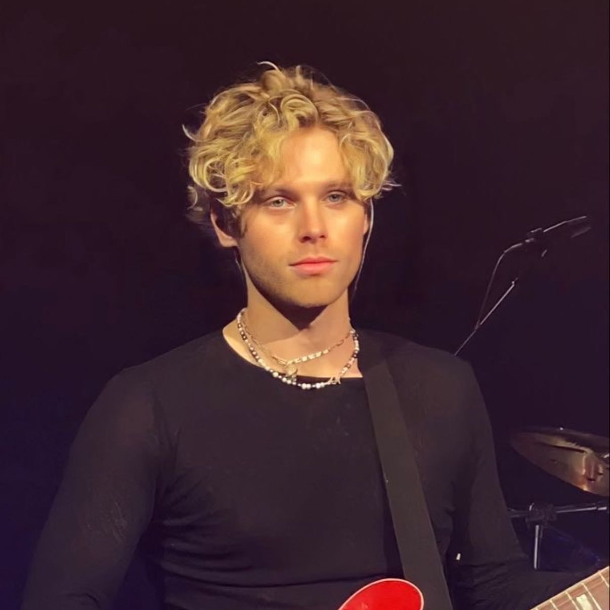 Luke Hemmings - Penguin Man đ§