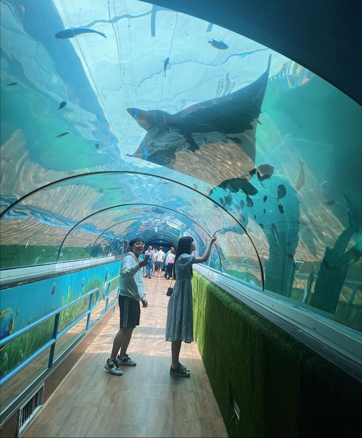 Aquarium Date