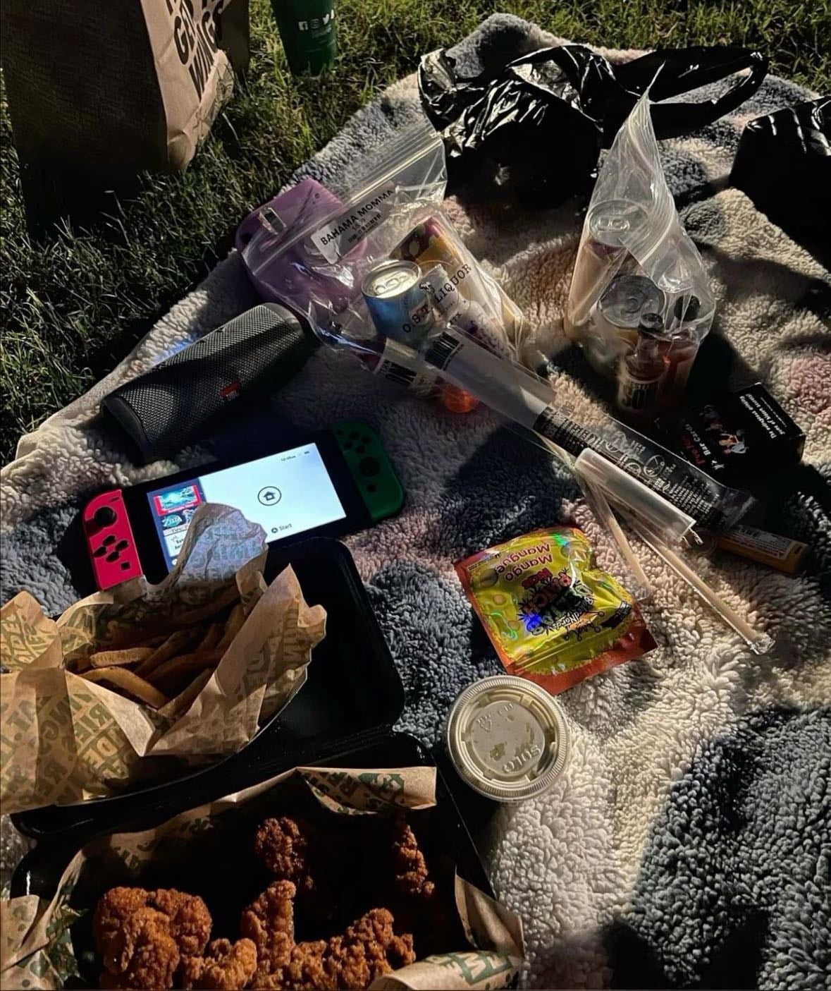 Late Night Picnic