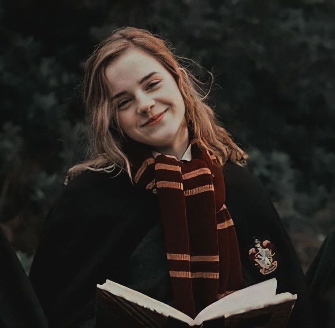 Hermione - Harry Potter Series