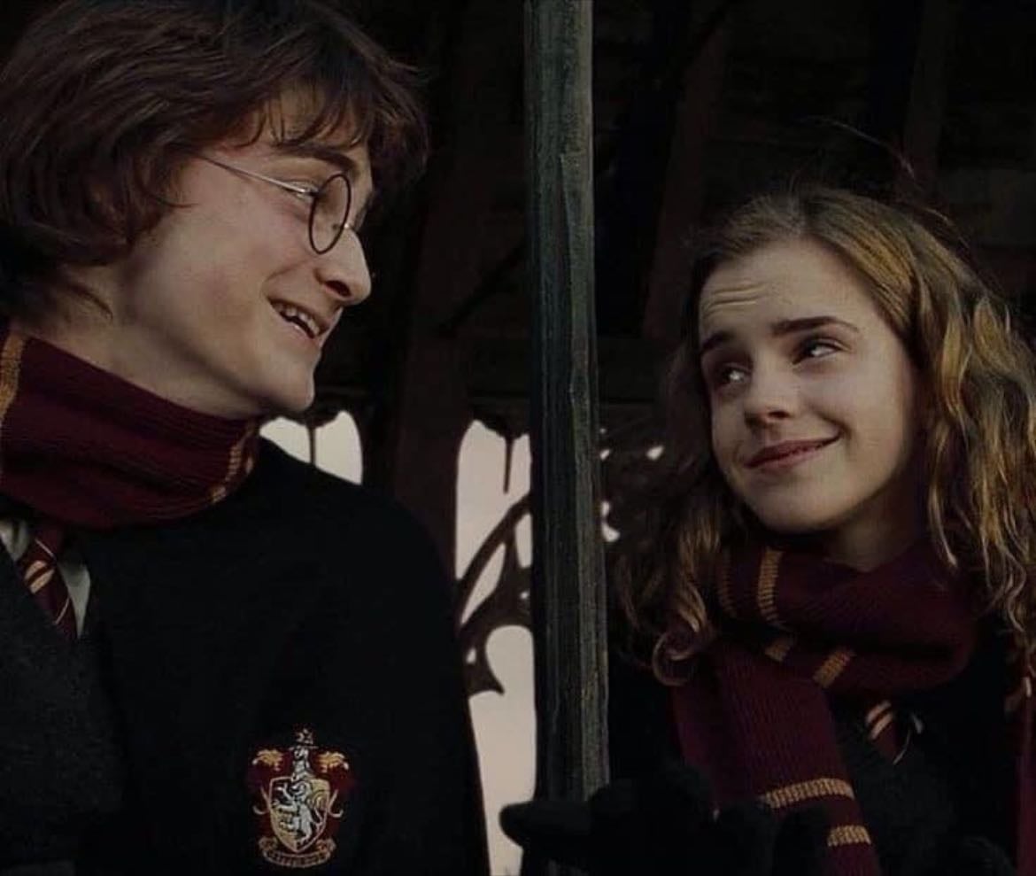 Harry and Hermione - HP