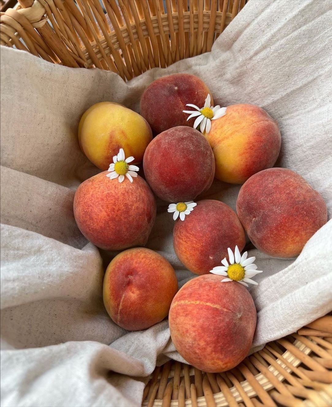 fav fruit - peach