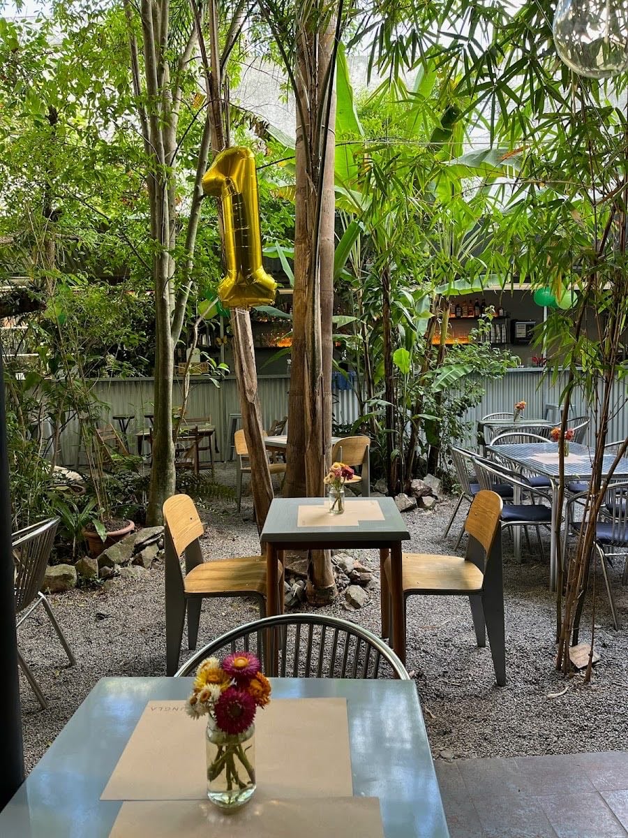 Jungla