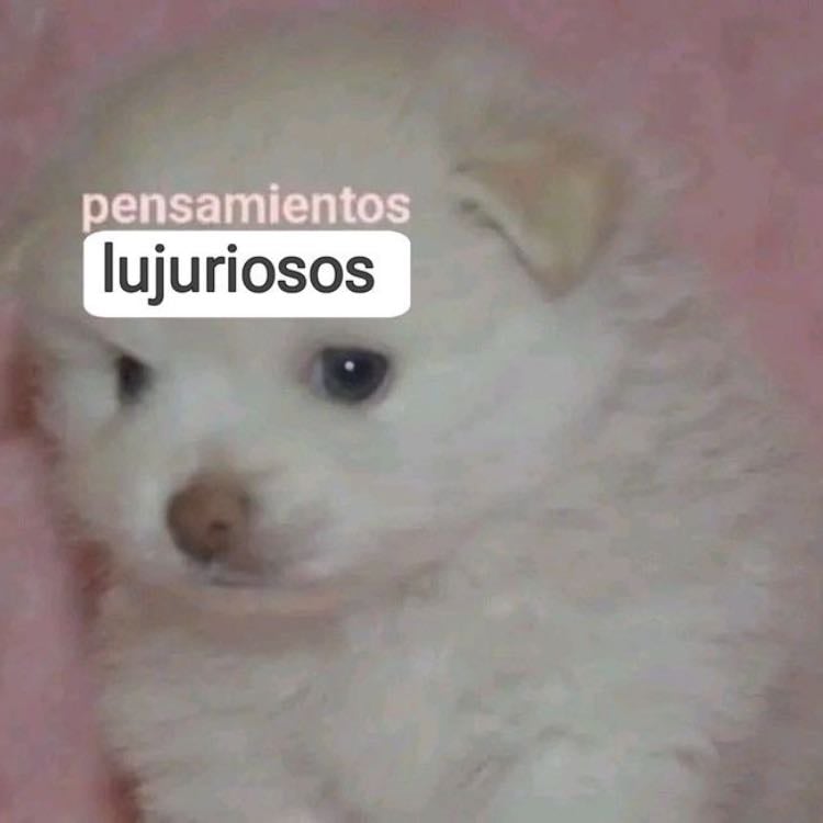 . - Soy como una princesa tierna pero con mente hot